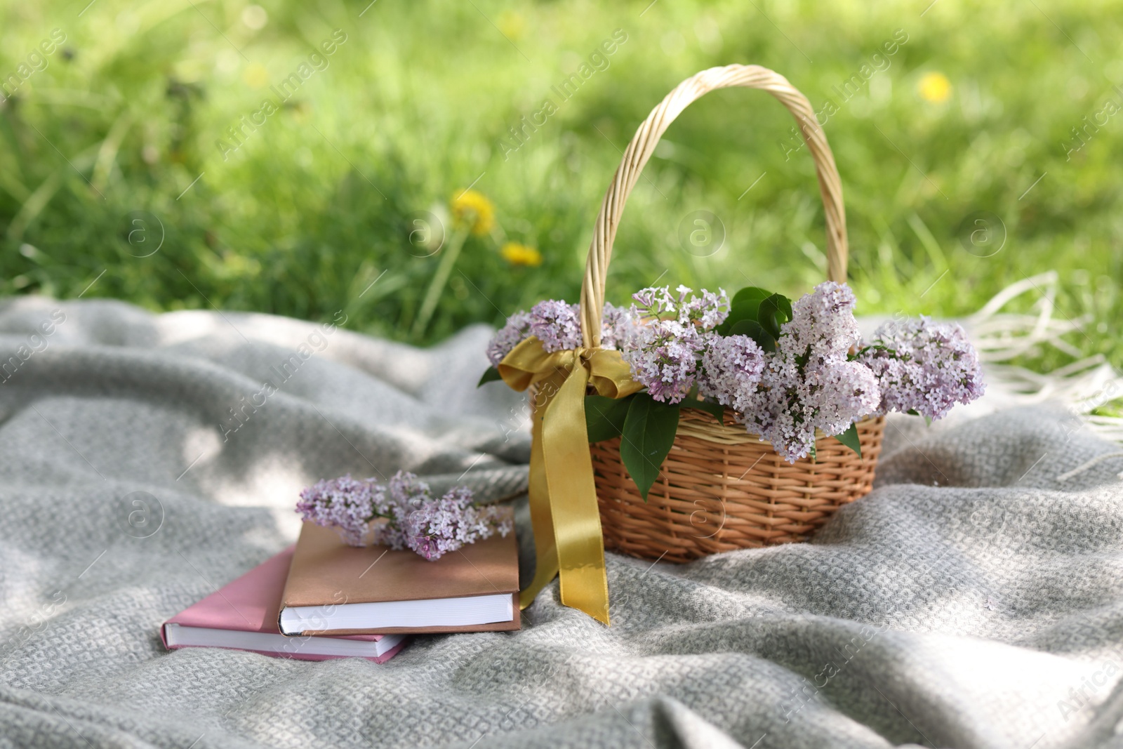 Stacked books and wicker basket with lilac flowers on green grass outdoors Photo of Stacked books and wicker basket with lilac flowers on green grass outdoors
