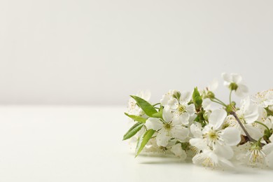 Photo of Twigs with beautiful flowers on white table, closeup. Space for design