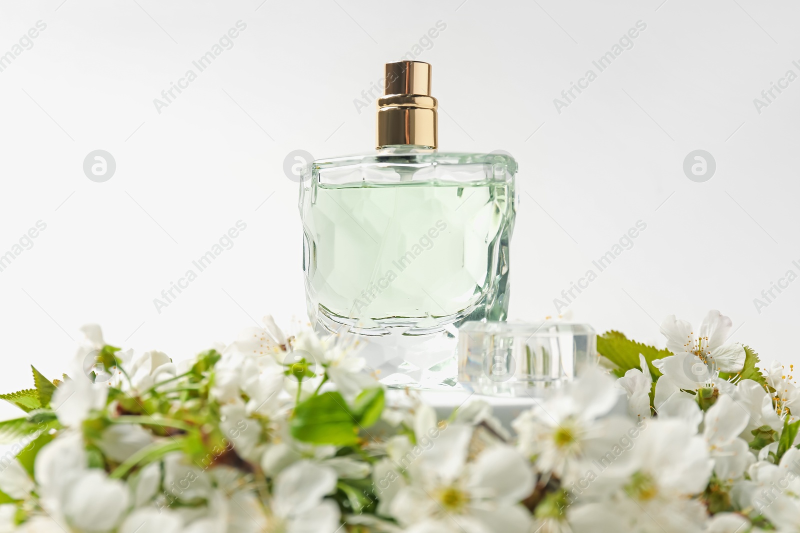 Bottle of aromatic perfume and twigs with beautiful flowers on white background, closeup. Stylish presentation of product Photo of Bottle of aromatic perfume and twigs with beautiful flowers on white background, closeup. Stylish presentation of product