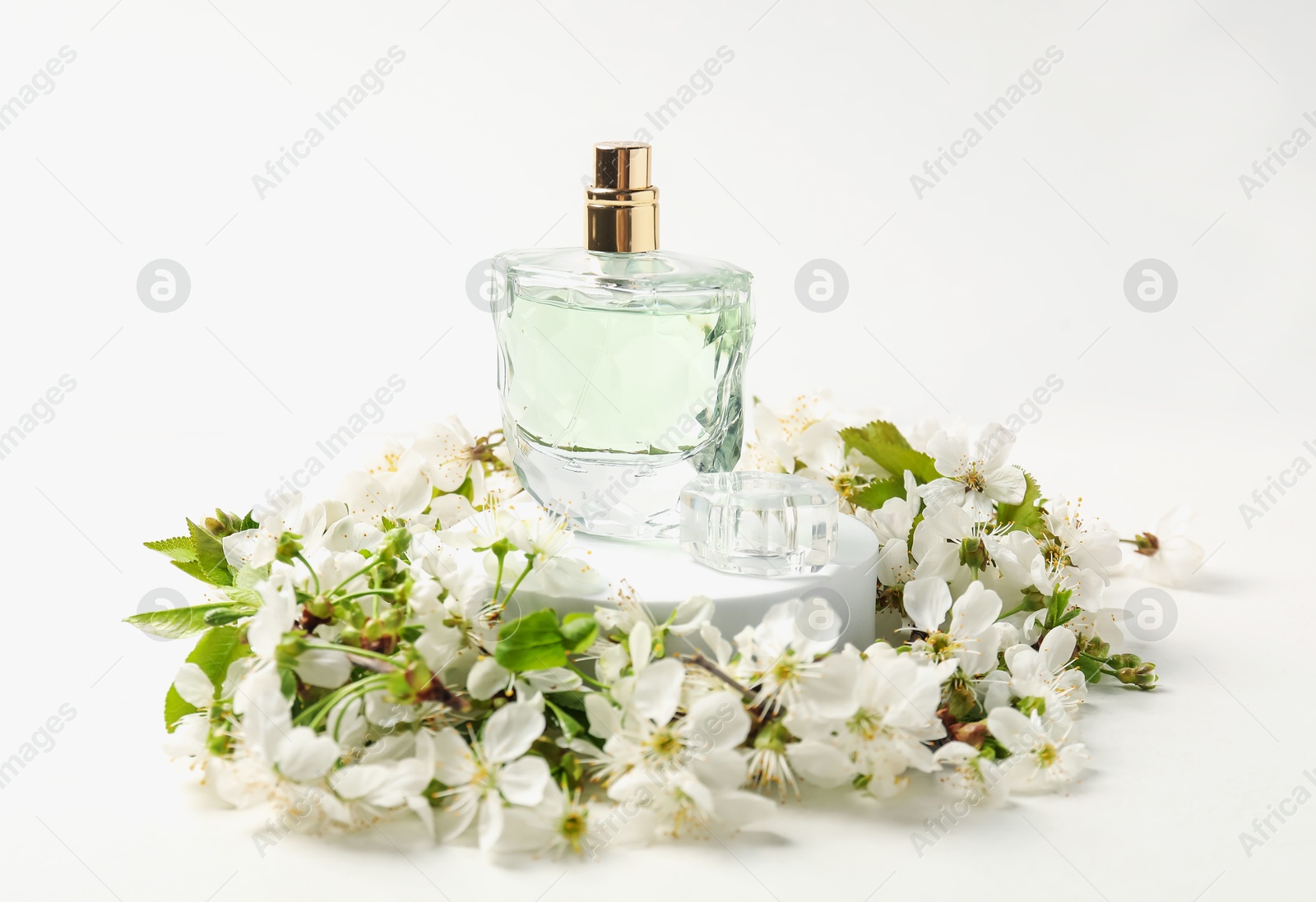 Bottle of aromatic perfume on podium and twigs with beautiful flowers against white background, closeup. Stylish presentation of product Photo of Bottle of aromatic perfume on podium and twigs with beautiful flowers against white background, closeup. Stylish presentation of product