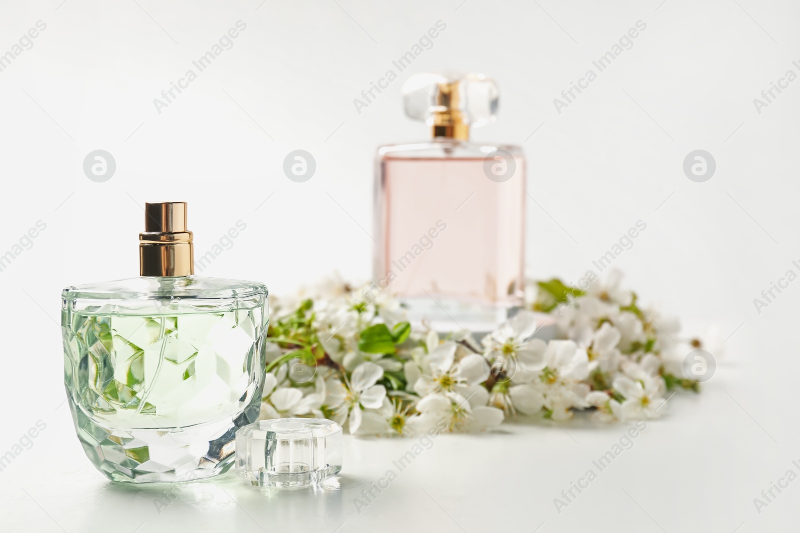 Bottles of aromatic perfume and twigs with beautiful flowers against white background, selective focus. Stylish presentation of product Photo of Bottles of aromatic perfume and twigs with beautiful flowers against white background, selective focus. Stylish presentation of product