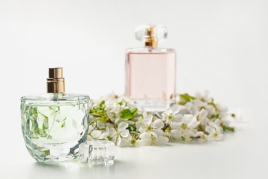 Photo of Bottles of aromatic perfume and twigs with beautiful flowers against white background, selective focus. Stylish presentation of product