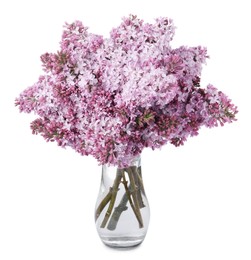 Photo of Branches with beautiful lilac flowers in vase isolated on white