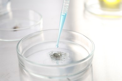 Photo of Dripping liquid from pipette into Petri dish at mirror table, closeup