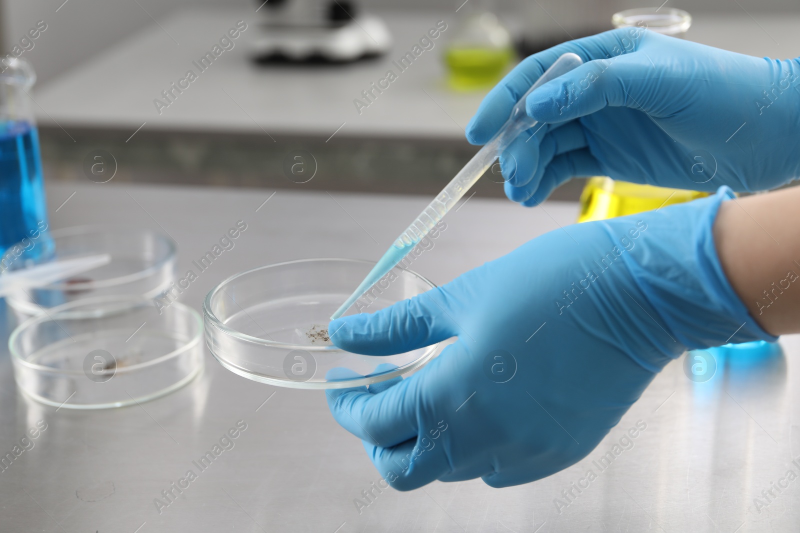 Scientist dripping liquid from pipette into Petri dish at table in laboratory, closeup Photo of Scientist dripping liquid from pipette into Petri dish at table in laboratory, closeup