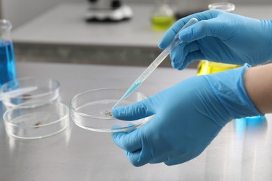 Photo of Scientist dripping liquid from pipette into Petri dish at table in laboratory, closeup