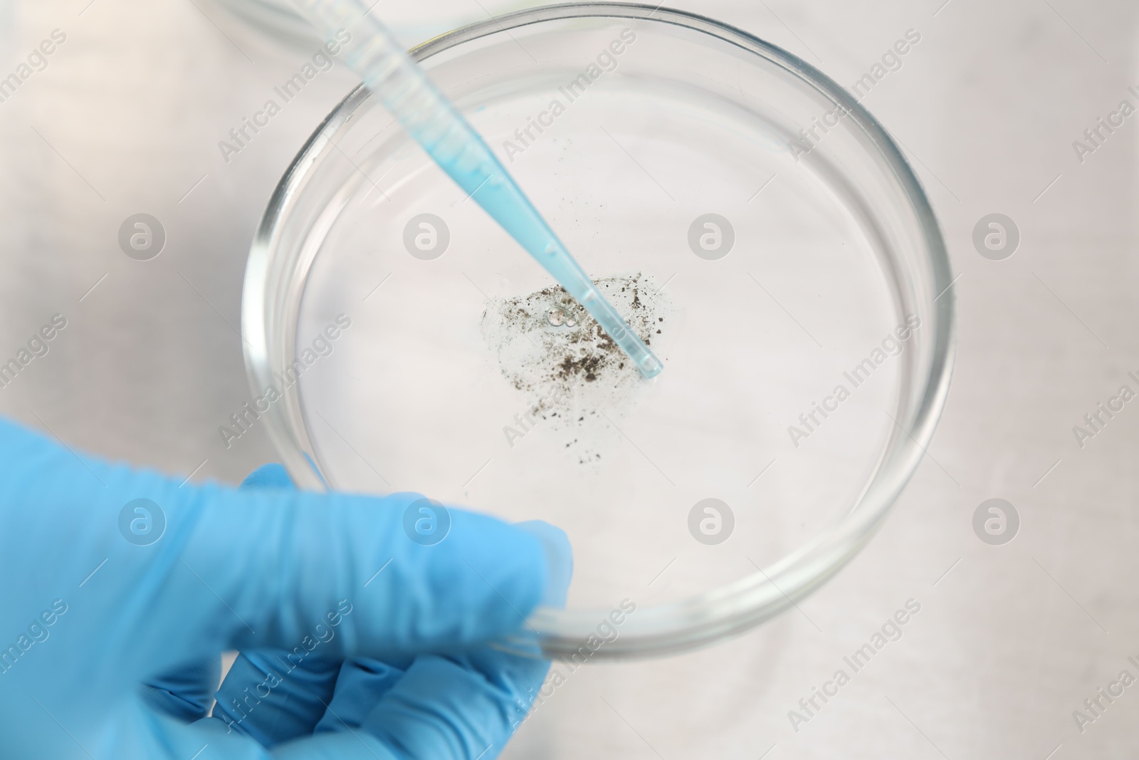 Scientist dripping liquid from pipette into Petri dish at white table, closeup Photo of Scientist dripping liquid from pipette into Petri dish at white table, closeup