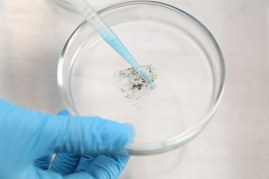 Photo of Scientist dripping liquid from pipette into Petri dish at white table, closeup