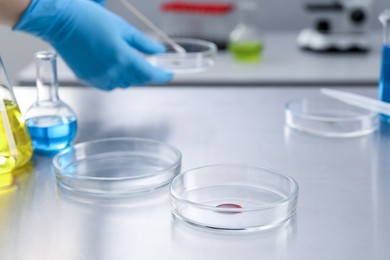 Photo of Scientist working in laboratory, focus on Petri dishes