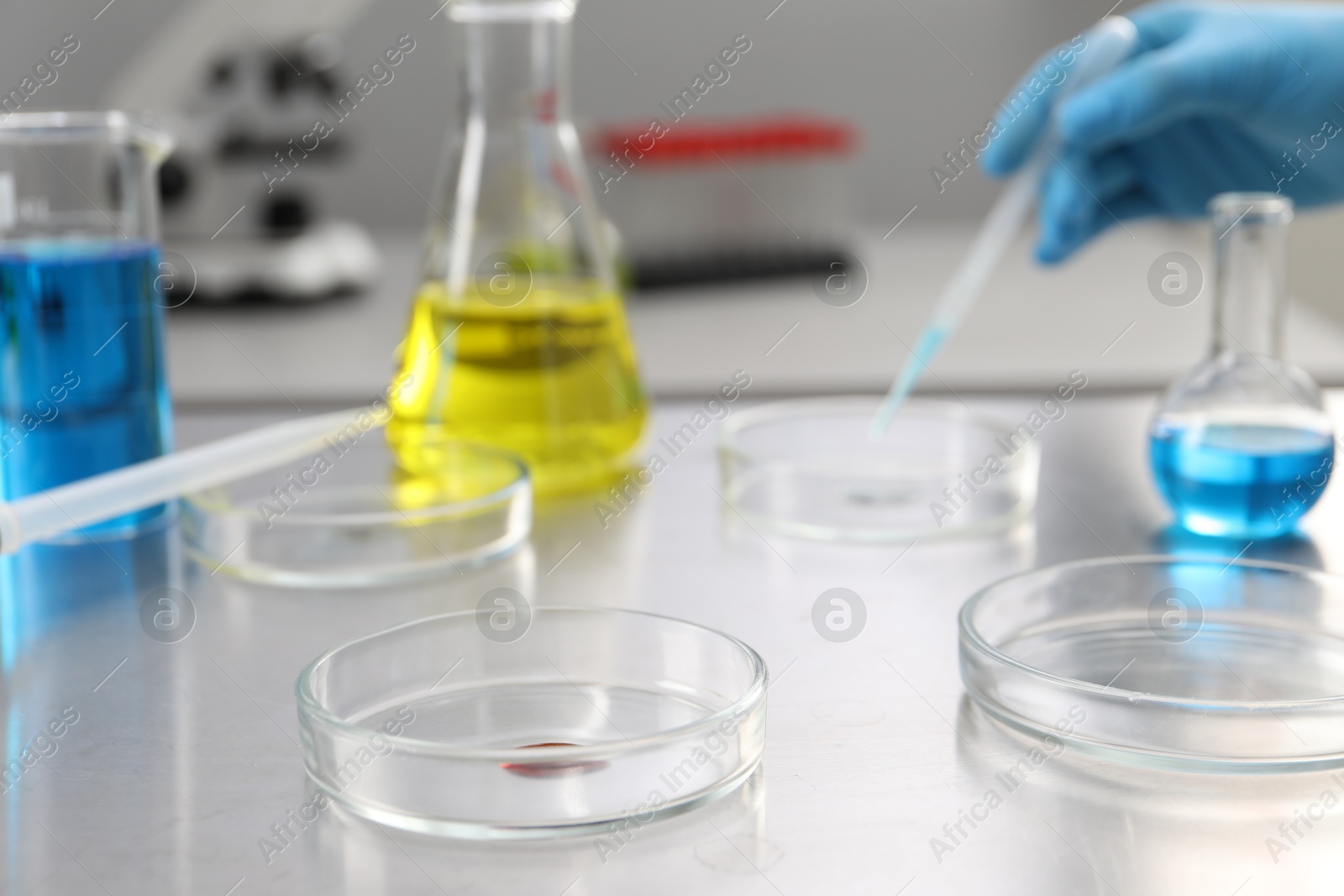 Scientist working in laboratory, focus on Petri dishes Photo of Scientist working in laboratory, focus on Petri dishes