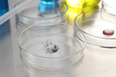 Photo of Petri dishes with samples on metal table, closeup