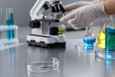 Photo of Scientist working with microscope at table in laboratory, focus on Petri dish