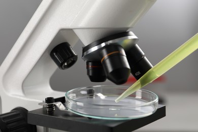 Photo of Scientist dripping liquid from pipette into Petri dish and microscope, closeup
