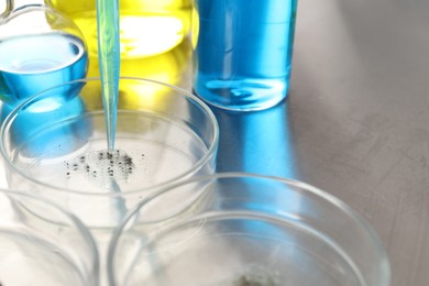 Photo of Dripping liquid from pipette into Petri dish at metal table, closeup