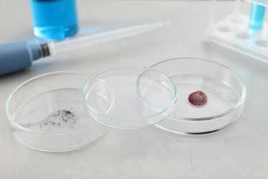 Photo of Petri dishes with samples on light table, closeup