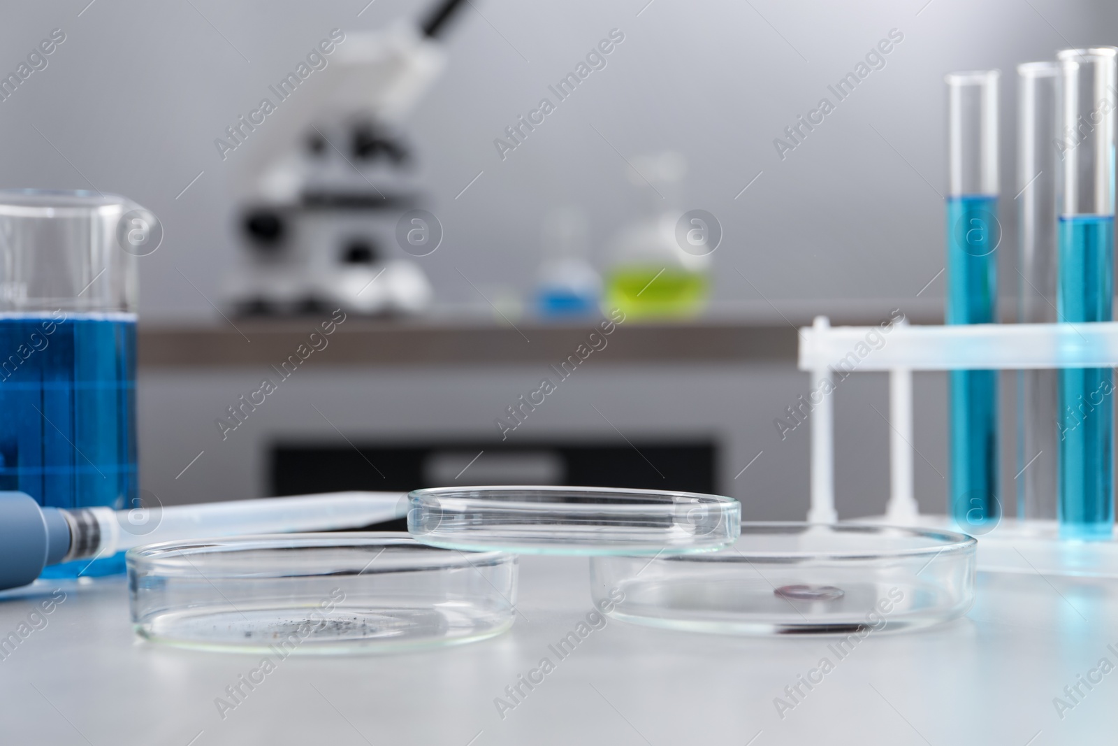 Petri dishes with samples and other glassware on light table in laboratory, closeup Photo of Petri dishes with samples and other glassware on light table in laboratory, closeup
