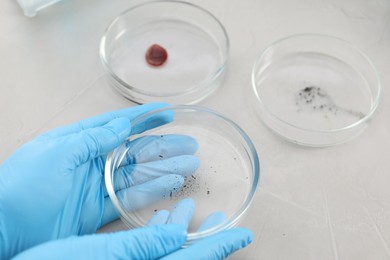 Photo of Scientist holding Petri dish with sample at light table, closeup