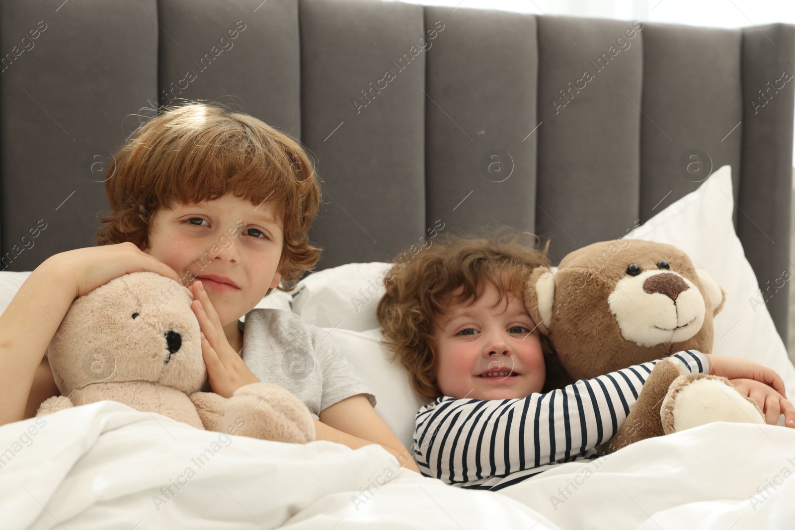 Cute little brothers with toys laying in bed at home Photo of Cute little brothers with toys laying in bed at home