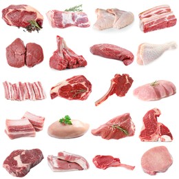Image of Different types of fresh raw meat isolated on white, collage. Beef, pork, chicken and veal
