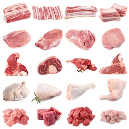 Image of Different types of fresh raw meat isolated on white, collage. Beef, pork, chicken and veal