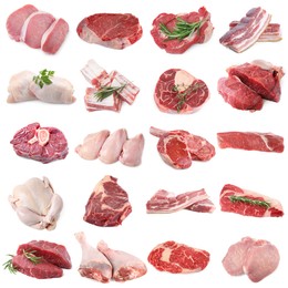 Image of Different types of fresh raw meat isolated on white, collage. Beef, pork, chicken and veal