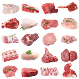 Image of Different types of fresh raw meat isolated on white, collage. Beef, pork, chicken and veal