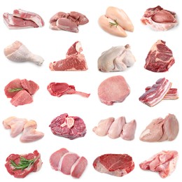 Image of Different types of fresh raw meat isolated on white, collage. Beef, pork, chicken and veal