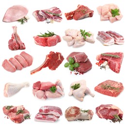 Image of Different types of fresh raw meat isolated on white, collage. Beef, pork, chicken and veal