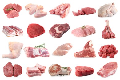 Image of Different types of fresh raw meat isolated on white, collage. Beef, pork, chicken and veal