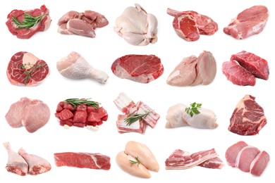 Image of Different types of fresh raw meat isolated on white, collage. Beef, pork, chicken and veal