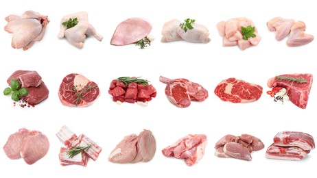 Image of Different types of fresh raw meat isolated on white, collage. Beef, pork, chicken and veal