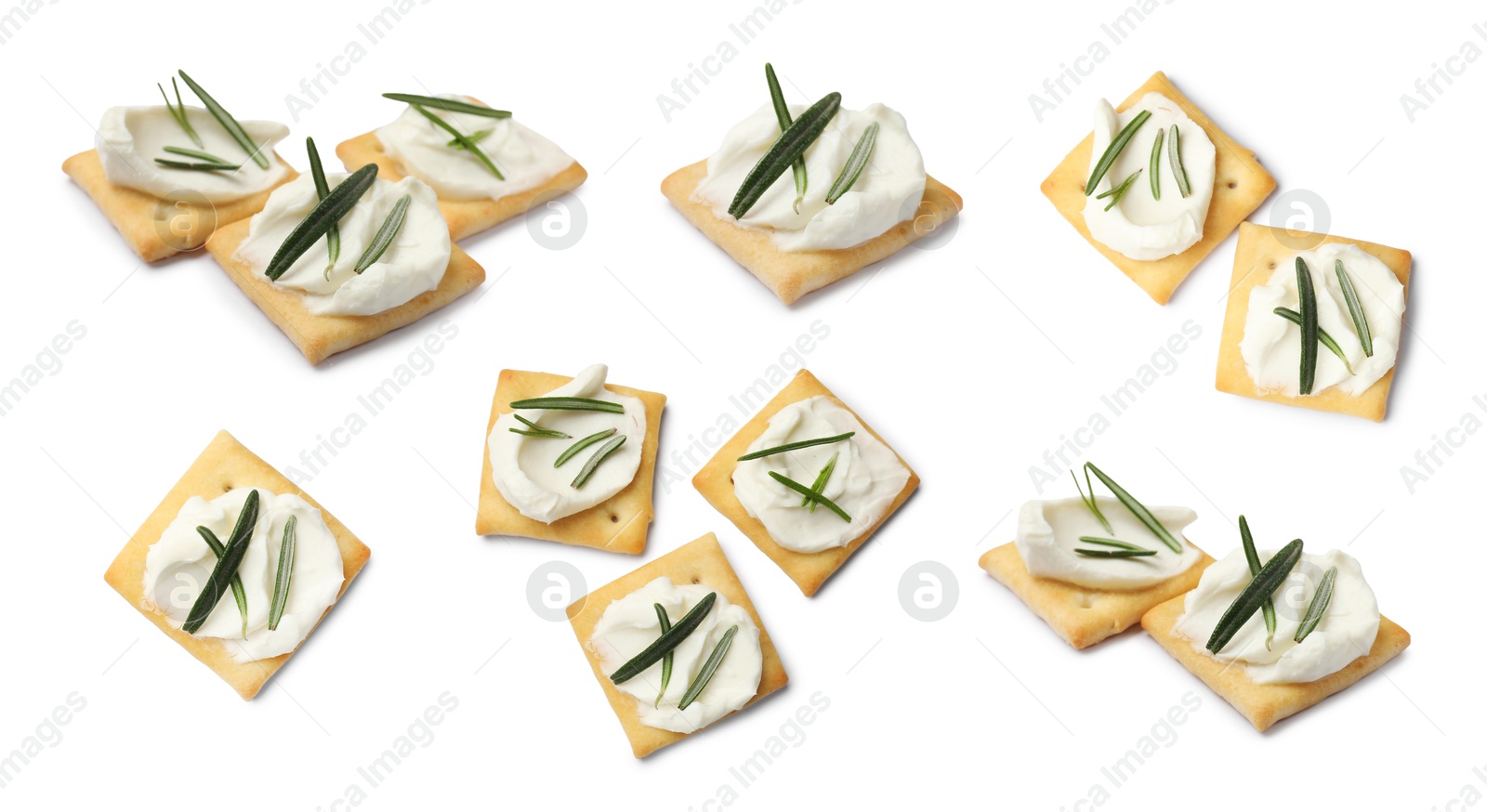 Delicious crackers with cream cheese and rosemary isolated on white, collage. Top and side views Image of Delicious crackers with cream cheese and rosemary isolated on white, collage. Top and side views