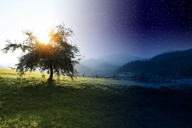 Image of Beautiful tree growing in mountains on sunny day and starry night, collage