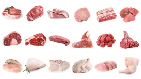 Image of Different types of fresh raw meat isolated on white, collage. Beef, pork, chicken and veal