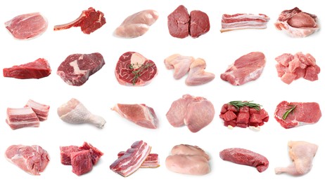 Image of Different types of fresh raw meat isolated on white, collage. Beef, pork, chicken and veal