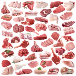 Image of Different types of fresh raw meat isolated on white, collage. Beef, pork, chicken and veal
