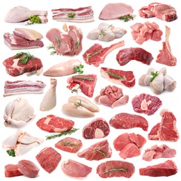 Image of Different types of fresh raw meat isolated on white, collage. Beef, pork, chicken and veal