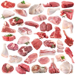 Image of Different types of fresh raw meat isolated on white, collage. Beef, pork, chicken and veal
