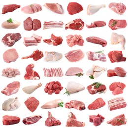 Image of Different types of fresh raw meat isolated on white, collage. Beef, pork, chicken and veal