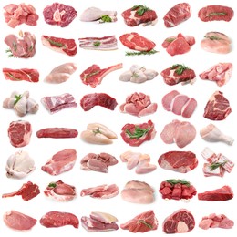 Image of Different types of fresh raw meat isolated on white, collage. Beef, pork, chicken and veal