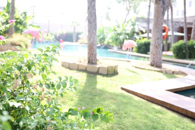 Photo of Luxury resort with outdoor swimming pool and decorative flamingo sculptures