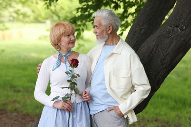 Photo of Lovely senior couple with rose in park