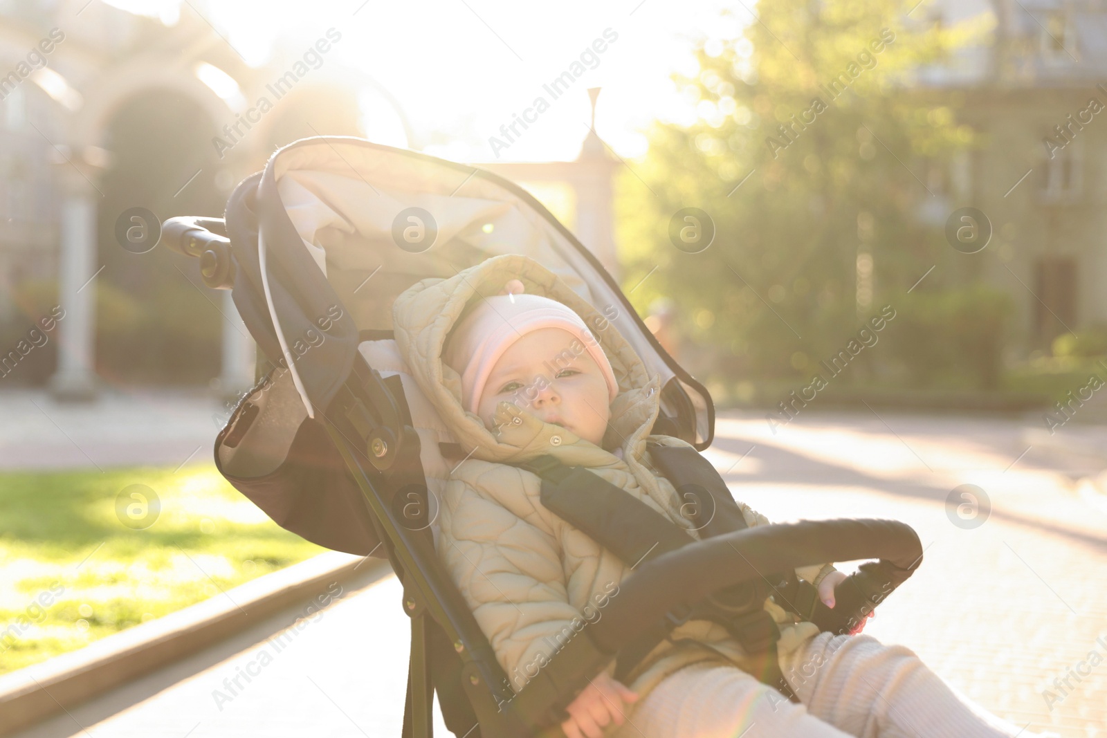Cute little baby in stroller at park on sunny day Photo of Cute little baby in stroller at park on sunny day
