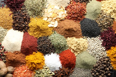 Photo of Many different spices as background, top view