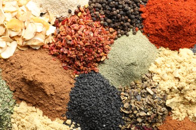 Photo of Many different spices as background, top view