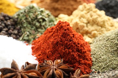 Photo of Many different spices as background, closeup view