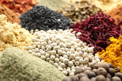 Photo of Many different spices as background, closeup view
