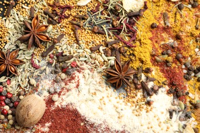 Photo of Many different spices as background, above view