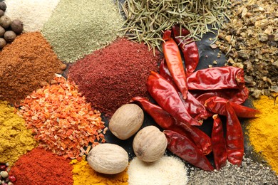 Photo of Many different spices on table, flat lay