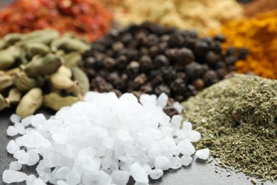 Photo of Many different spices on dark table, closeup